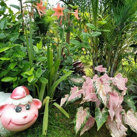Tararin Hindad Hot Spring Resort Thong Pha Phum Exterior foto